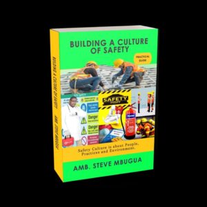Building a Culture of Safety Book